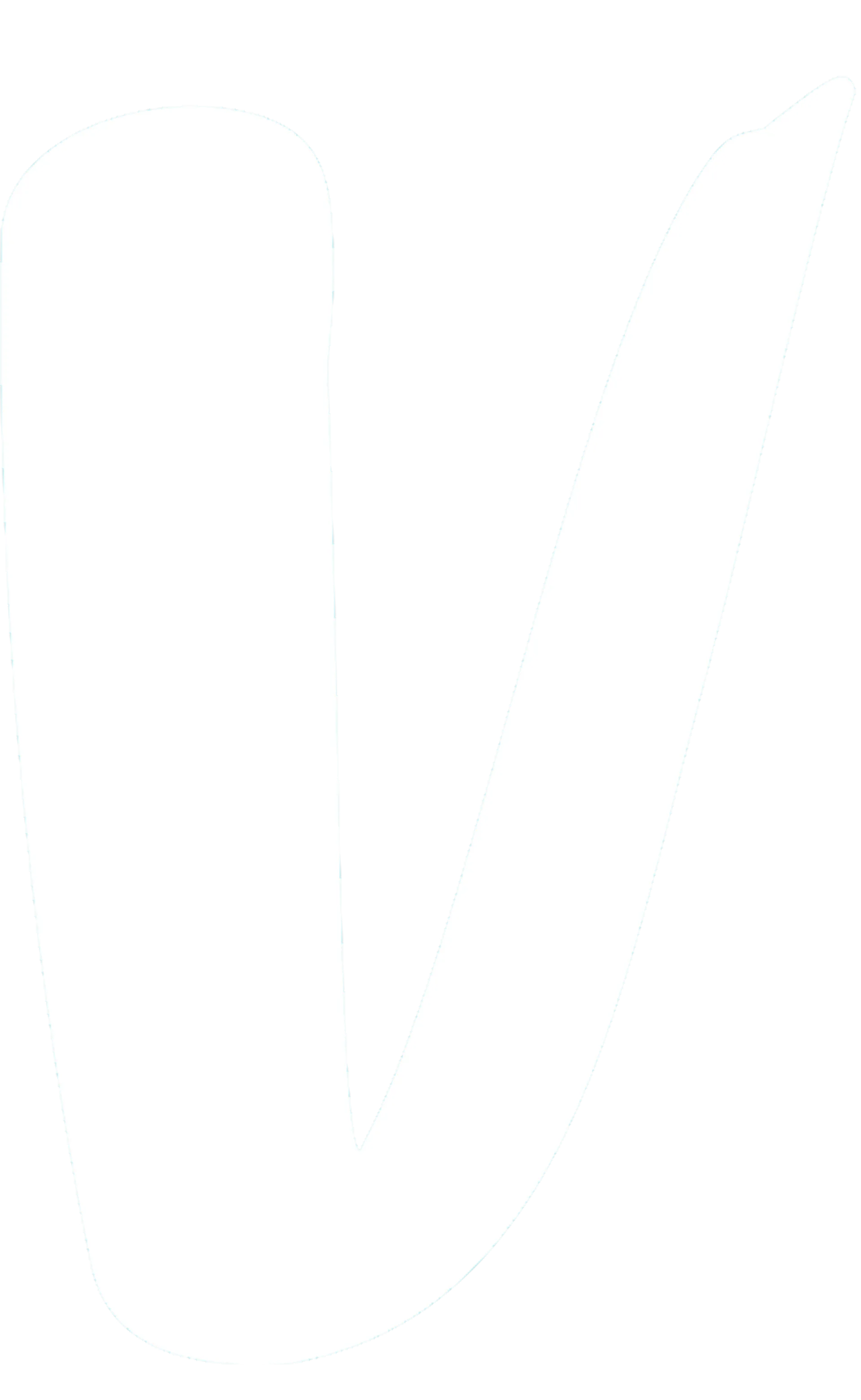 Logo Vinted